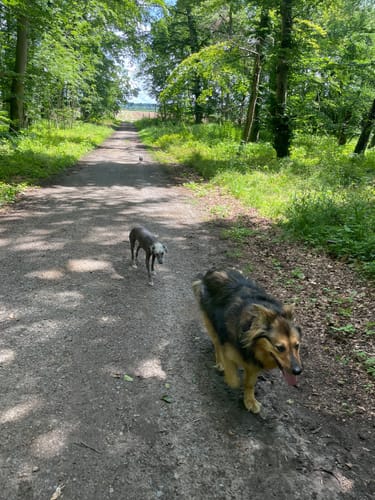 Weiterstadt Runde
