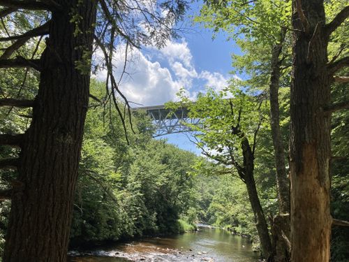 are dogs allowed at hickory run state park