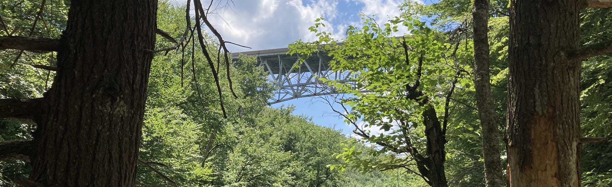 Orchard Trail Pennsylvania AllTrails