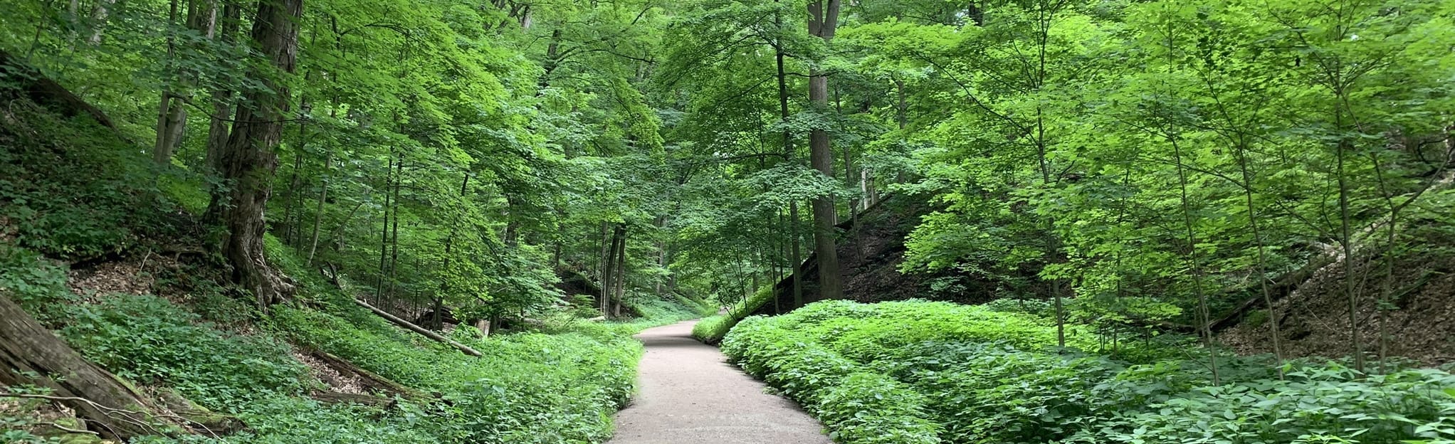 Caleb's Walk Ginger Valley Ravine Road Map, Guide Ontario, Canada AllTrails