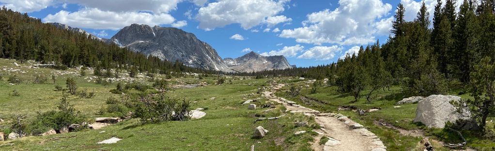 are dogs allowed in tuolumne meadows