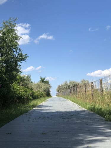 Pötenitzer Rundweg
