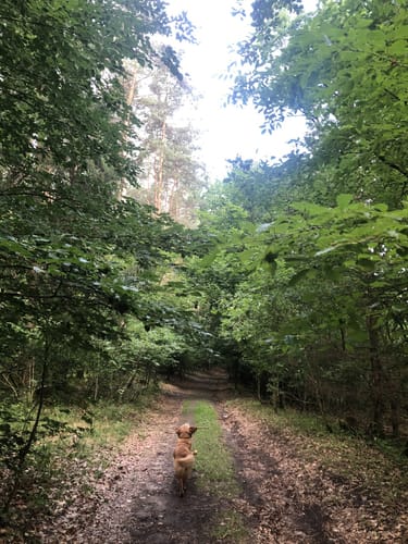 Runde am Fasanenpark