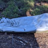 B-17C Crash Site Trail, California - 121 Reviews, Map | AllTrails