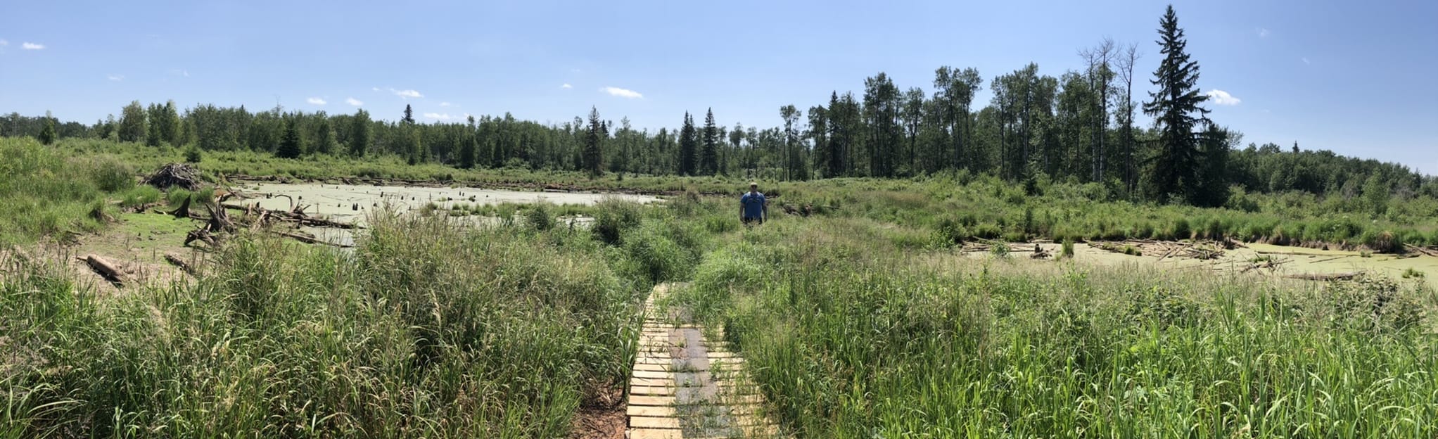 Wanisan and Lost Lake Loop 127 foto's Alberta, Canada Wandelen