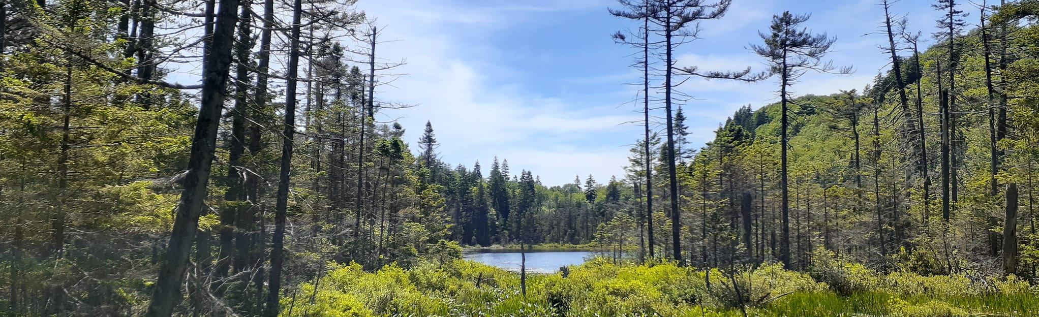 Cosy Lake Road Loch Lomond, New Brunswick, Canada 9 Reviews, Map AllTrails