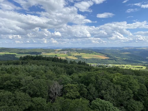 Heimat Gemünden (Traumschleife)