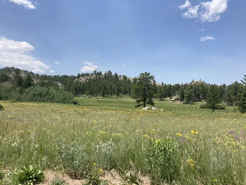 27+ Map Of Red Feather Lakes Colorado