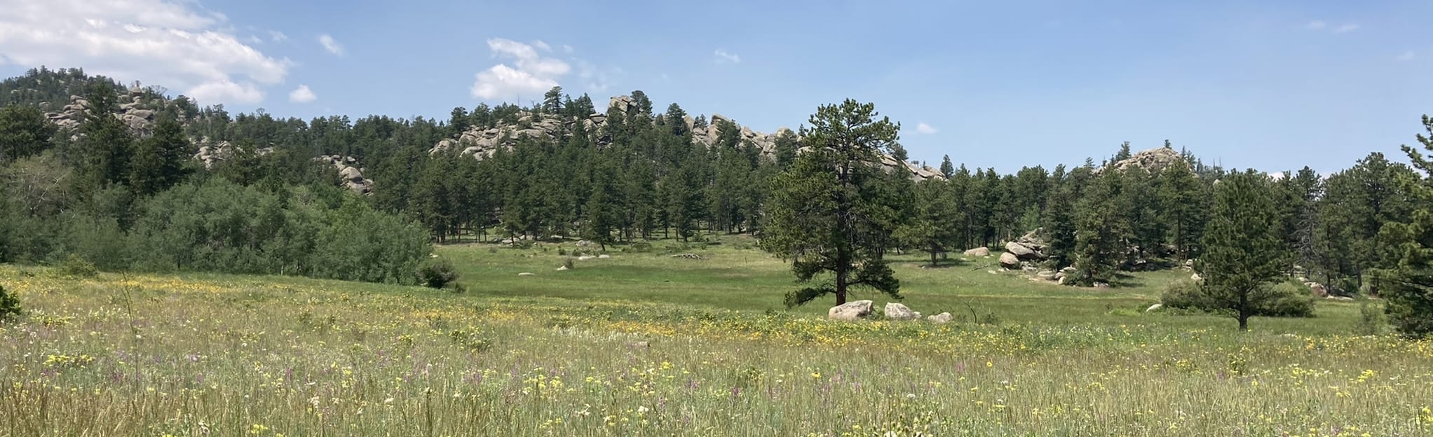 Disappointment Falls via Lady Moon Trail, Colorado 663 Reviews, Map