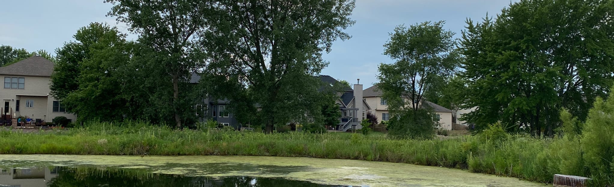 Northwest Community Park to Norman Greenway, Illinois 50 Reviews, Map AllTrails