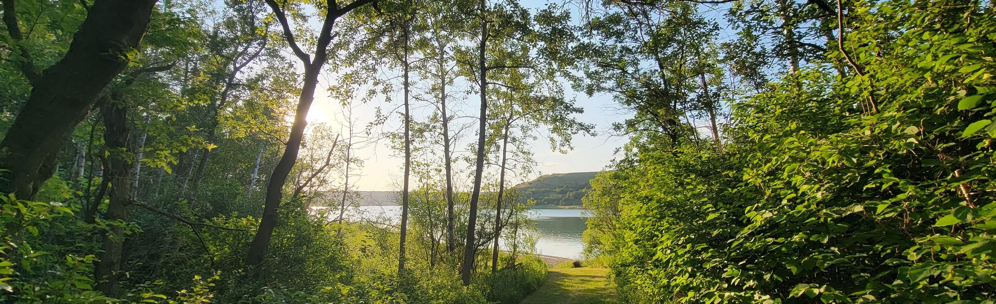 AllTrails | Shell River Loop: 7 Reviews, Map - Manitoba, Canada
