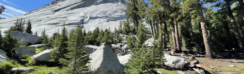 are dogs allowed in tuolumne meadows