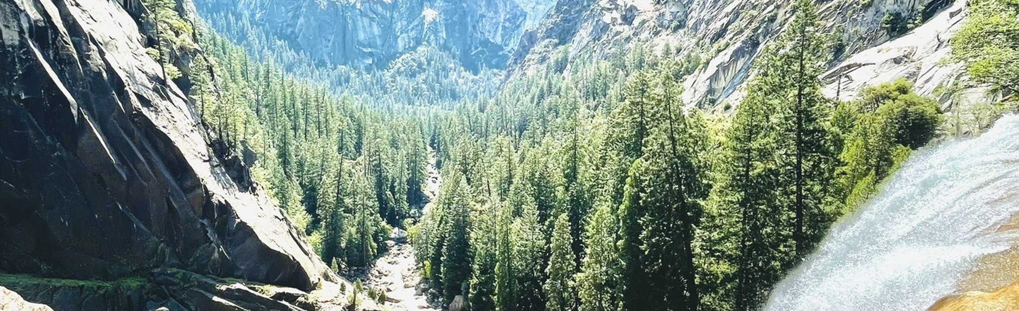 Diving Board 69 Reviews, Map California AllTrails