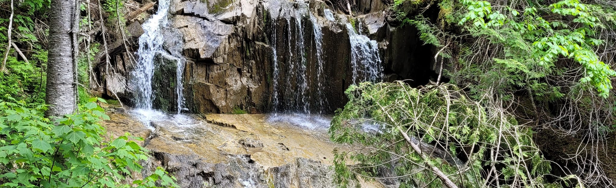 Randonnée des Chutes Roger, Quebec, Canada Map, Guide AllTrails