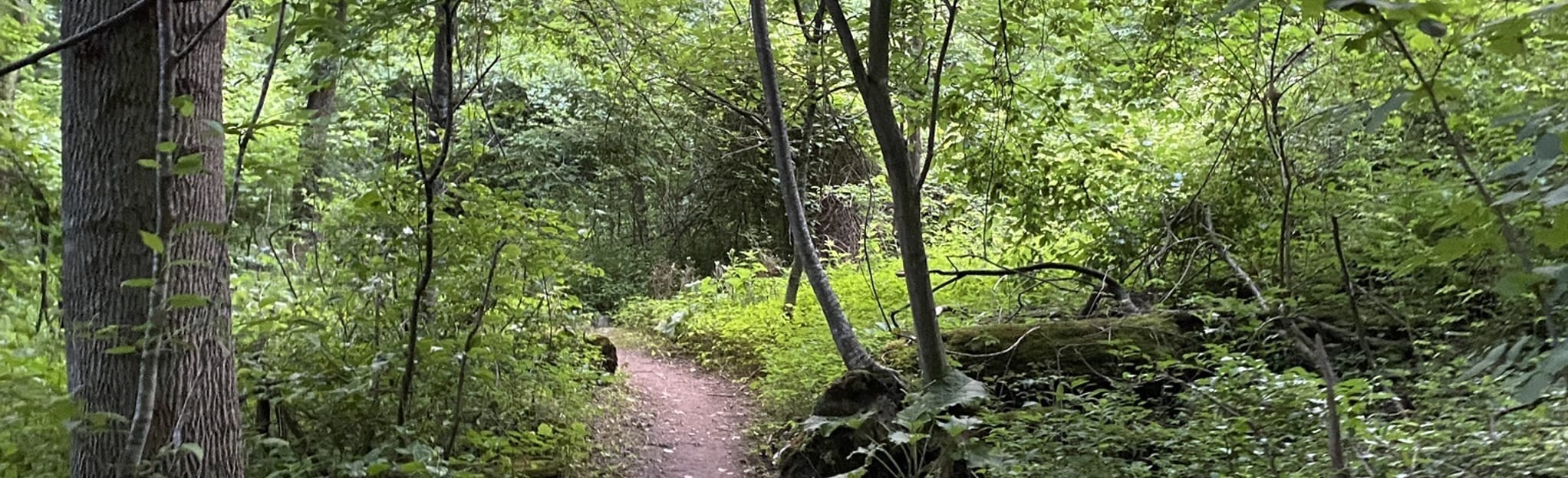 Pass Mountain Hut Road, Virginia 27 Reviews, Map AllTrails