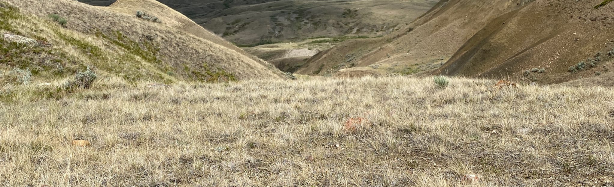 Eagle Butte and 70 Mile Butte Loop 108 Reviews, Map Saskatchewan