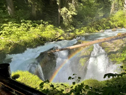 Olympic hotsell waterfall trail