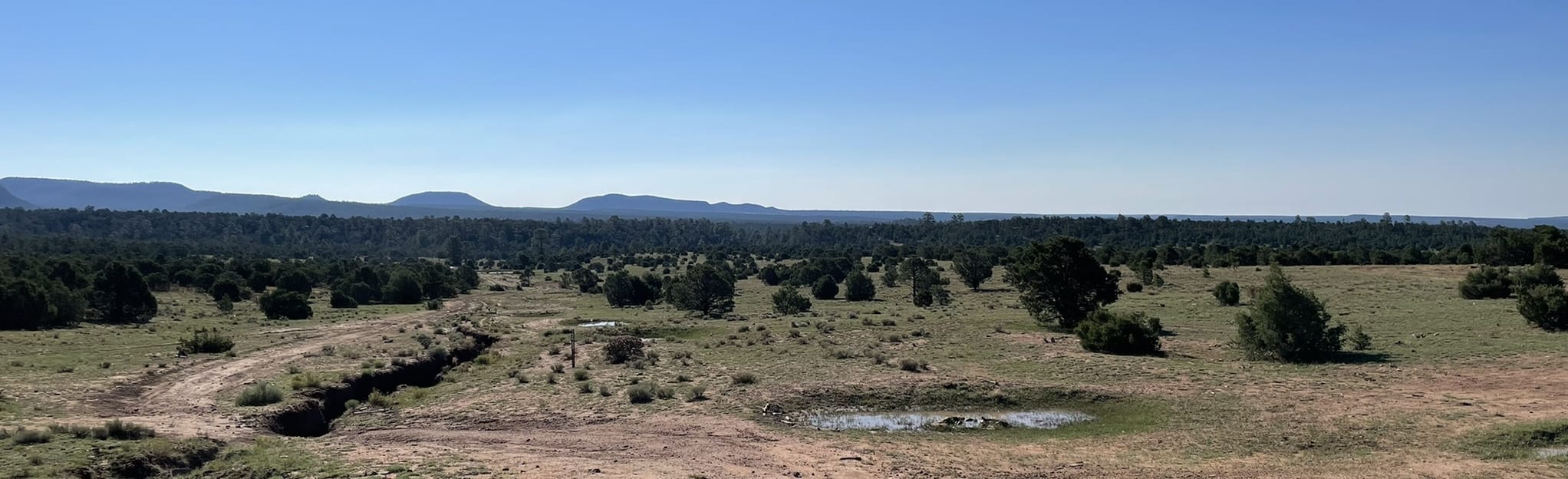 Glorieta Mesa Trail, New Mexico 32 Reviews, Map AllTrails