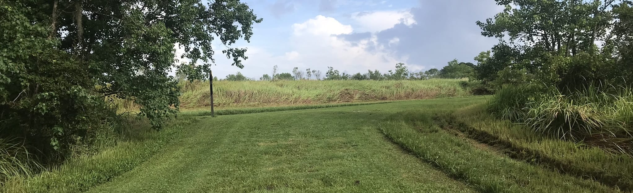 Holloway Park 5k Course, Florida 29 Reviews, Map AllTrails