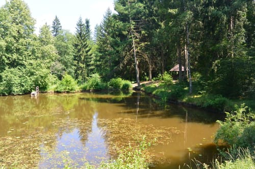 Schönbuch - Bannwald Mountainbike Route