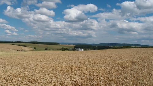 Premiumwanderweg: Traumschleife Stumm-Orgelweg