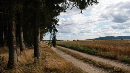 Premiumwanderweg: Traumschleife Stumm-Orgelweg