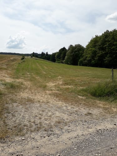 Schankweiler: Naturpark Südeifel Wanderweg Nr. 46