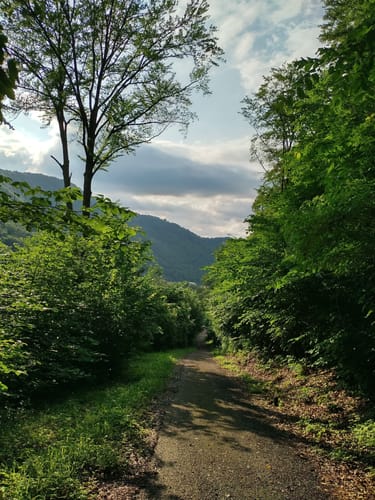 Honau: Echazquelle & Kassenfels