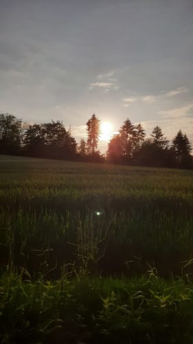 Von Bürdenbach in Südlicher Richtung