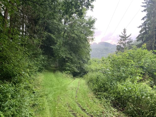 Rund um Dasburg