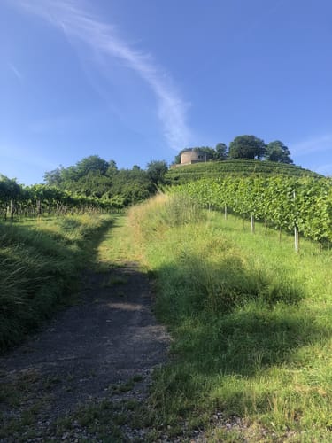 Vom Wartberg über die Bergurine Weibertreu