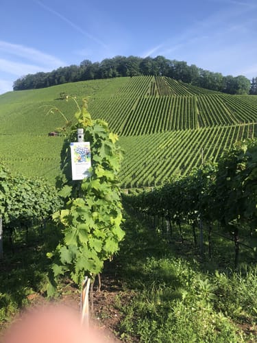 Vom Wartberg über die Bergurine Weibertreu
