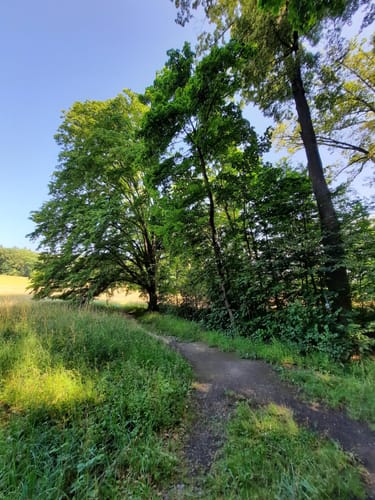 Bad Nauheim: Hütten-Wanderweg