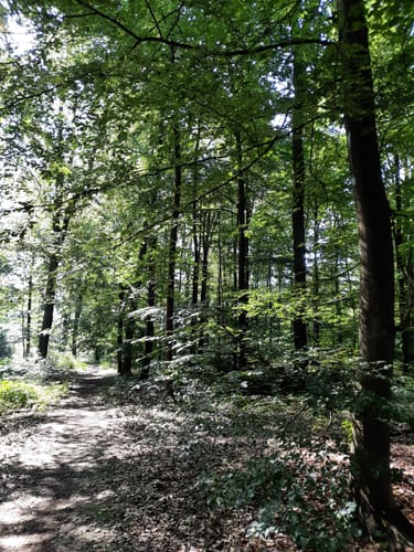 Bad Nauheim: Hütten-Wanderweg