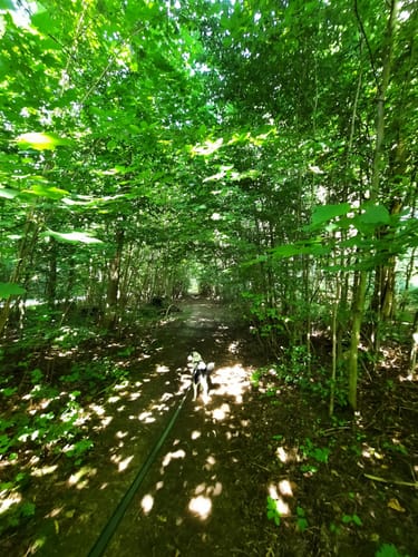 Bad Nauheim: Hütten-Wanderweg