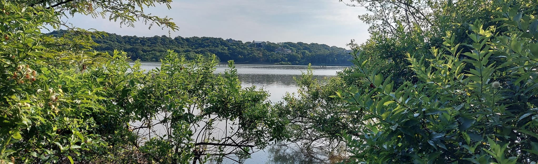 Hickory Creek and Lakeshore Trail 221 Reviews, Map Texas AllTrails