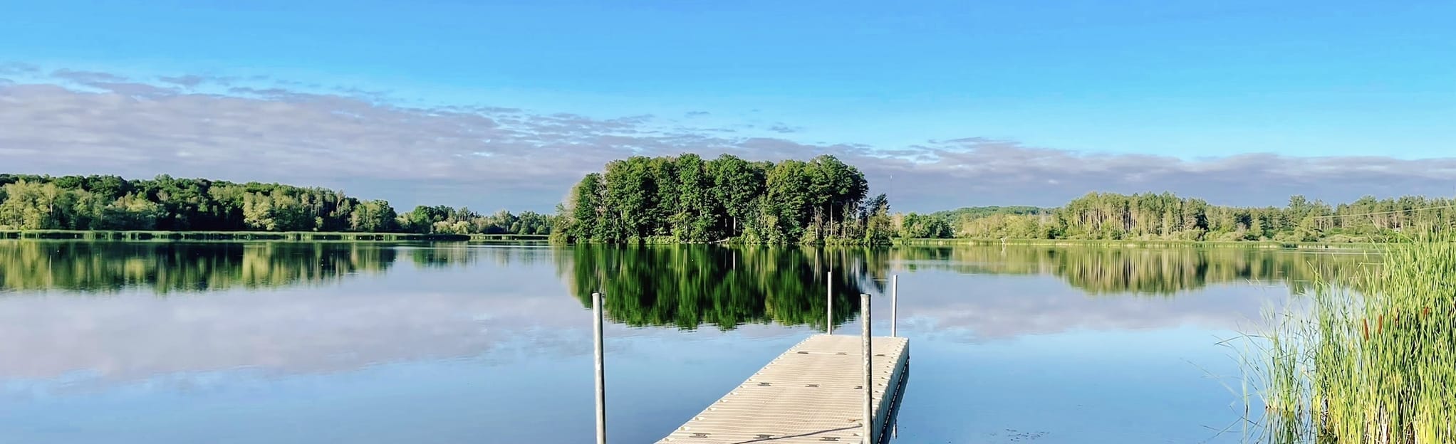 Pine Meadow Hardwood Wetlands 219 Reviews, Map Ontario, Canada AllTrails