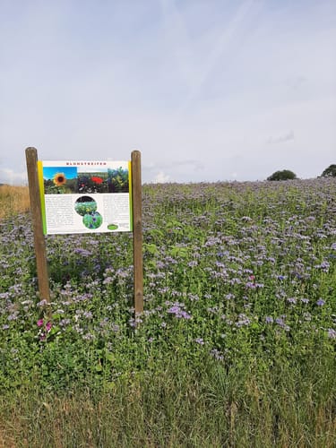 Heimkirchen - Naturlehrpfad Alte Welt