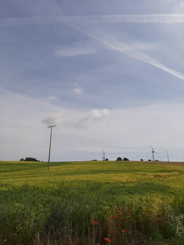 Heimkirchen - Naturlehrpfad Alte Welt
