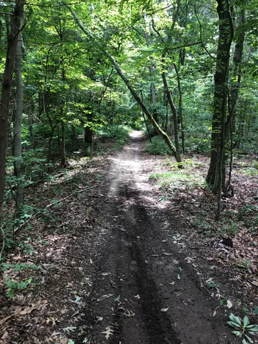 Best Hikes and Trails in Sunken Meadow State Park | AllTrails