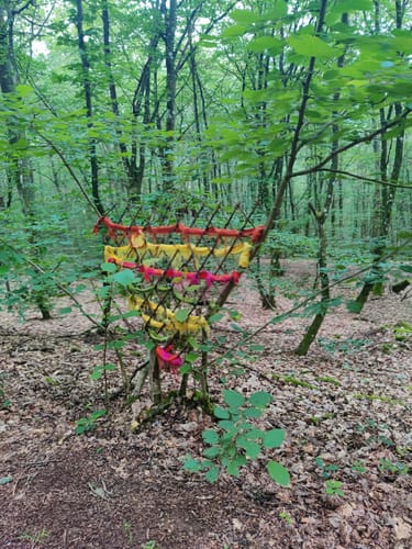 Grünewaldtrail