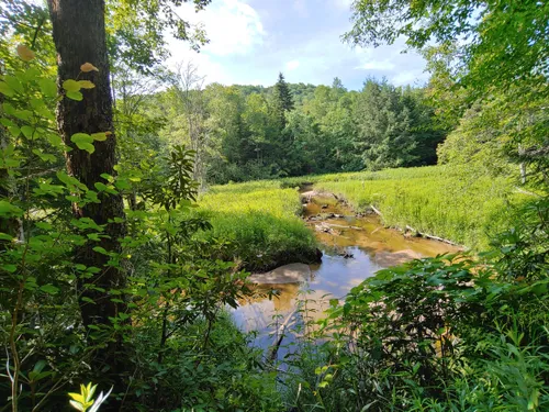 10 Best Hikes and Trails in Otter Creek Wildlife Management Area