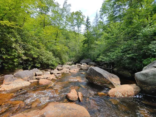 10 Best Hikes and Trails in Otter Creek Wildlife Management Area