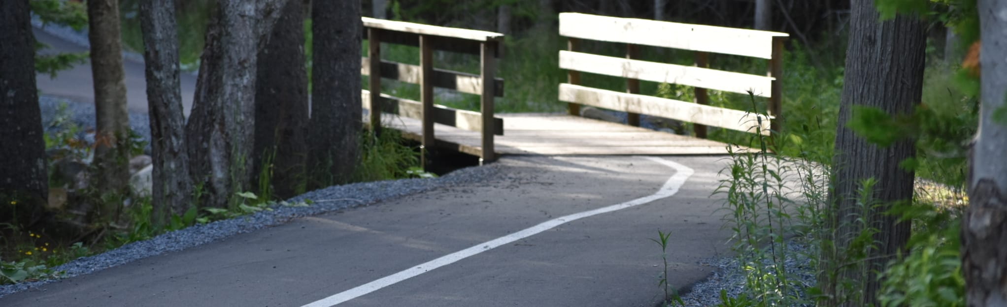 Quispamsis Trail, New Brunswick, Canada 30 Reviews, Map AllTrails