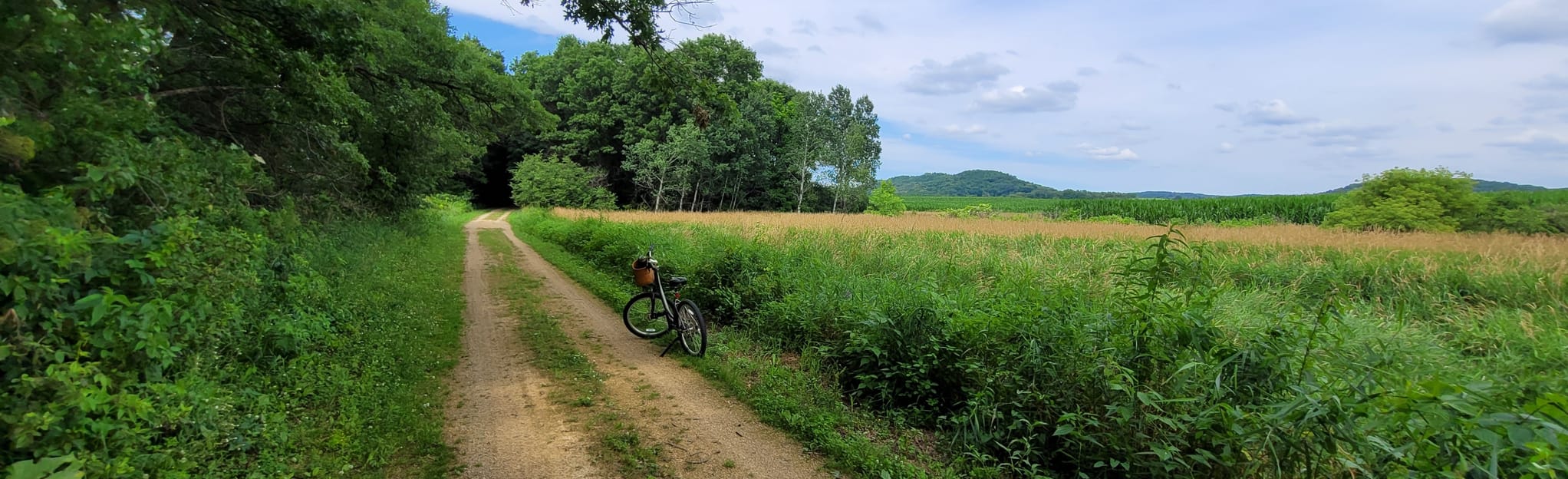 Pine River Trail, Wisconsin - 41 Reviews, Map | AllTrails