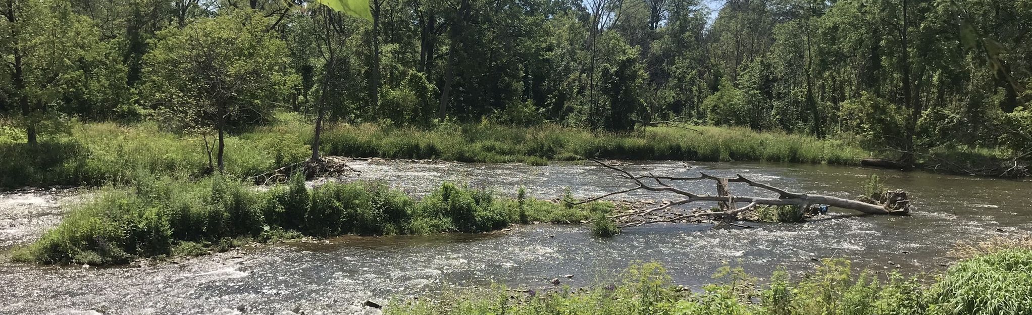 erindale park bike trail