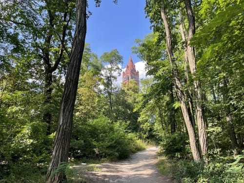 Entlang der Havel durch den Grunewald