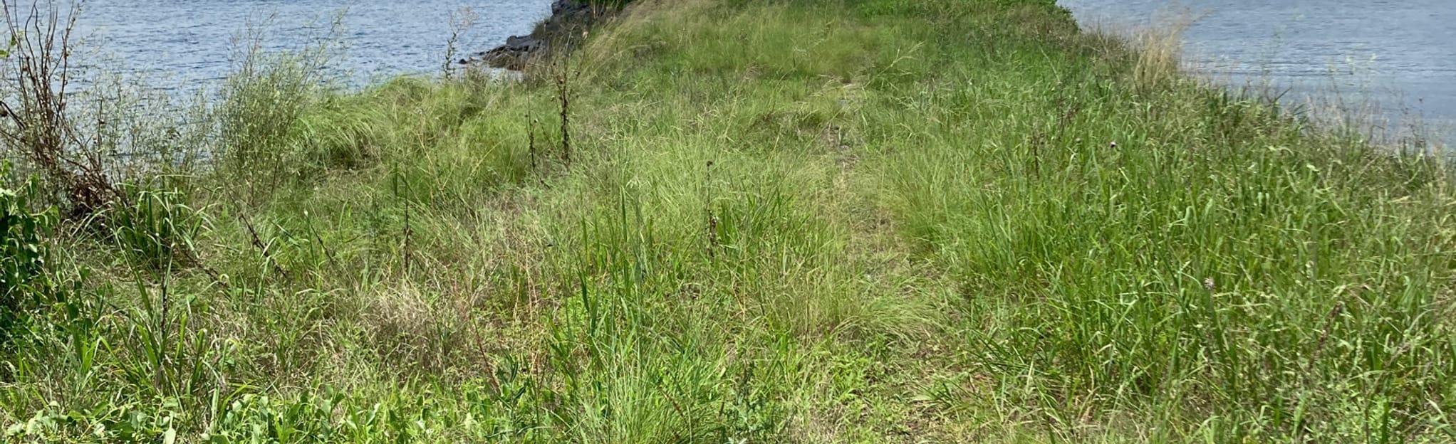 Murphy Hill Loop 39 Reviews, Map Alabama AllTrails