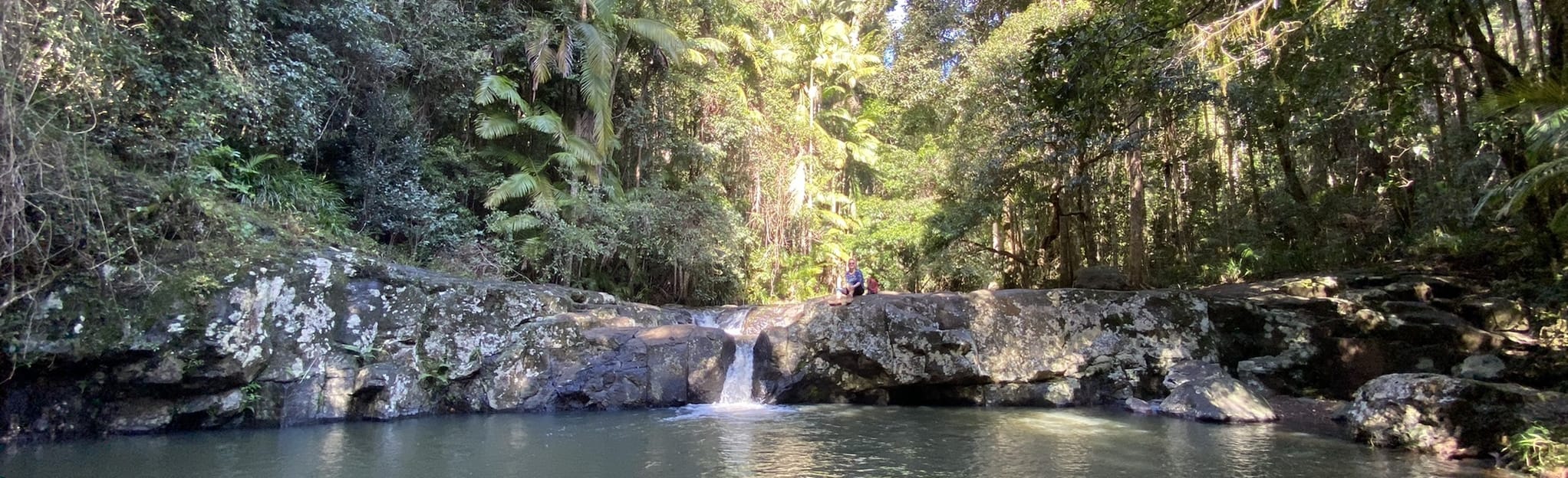 Springbrook Water Tank to Warringa Pool Map, Guide Queensland