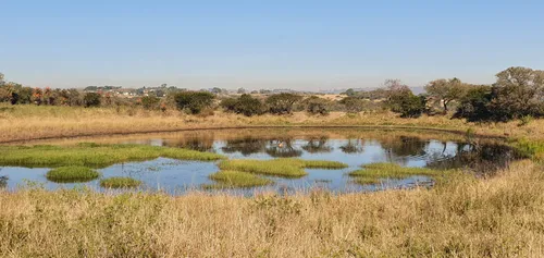 Pietermaritzburg visual data 8